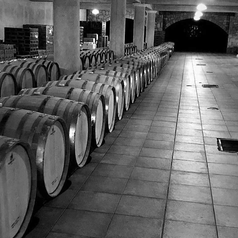 corridor of 'Ktima Karipidis' cellar with lying wooden barrels on the one side